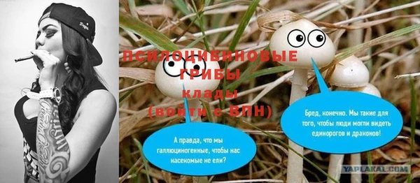 2c-b Покачи