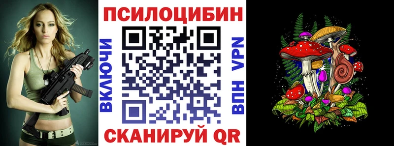 Галлюциногенные грибы Psilocybine cubensis  Харовск 